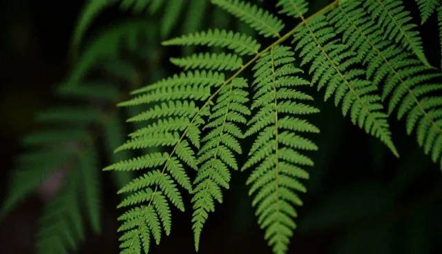 性能优化中节点可查的两种做法与实际取舍